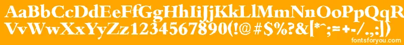 BambergantiqueXboldRegular Font – White Fonts on Orange Background