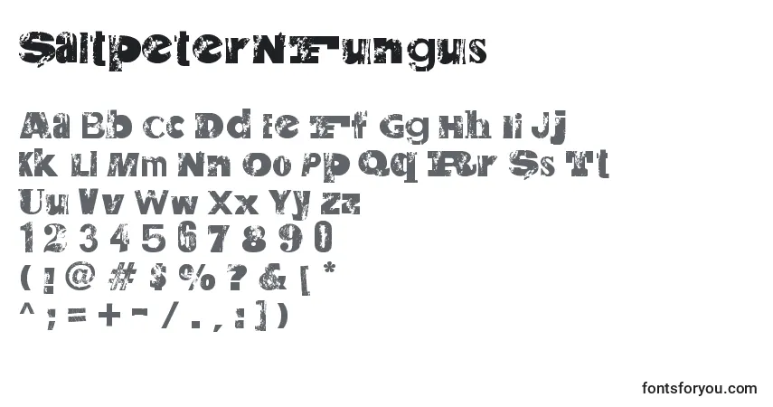 A fonte SaltpeterNFungus – alfabeto, números, caracteres especiais