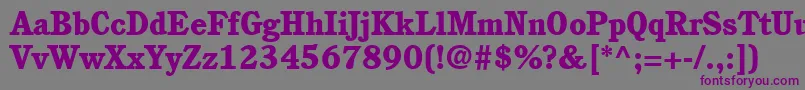ItcCushingLtHeavy-fontti – violetit fontit harmaalla taustalla