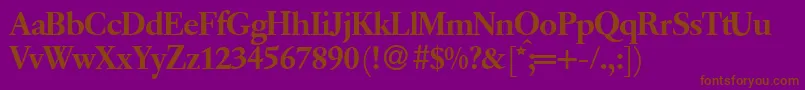 Q650RomanRegular Font – Brown Fonts on Purple Background