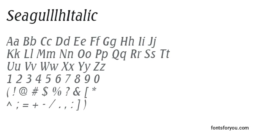 SeagulllhItalicフォント–アルファベット、数字、特殊文字