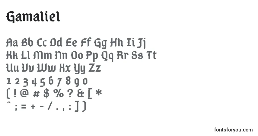 Шрифт Gamaliel – алфавит, цифры, специальные символы