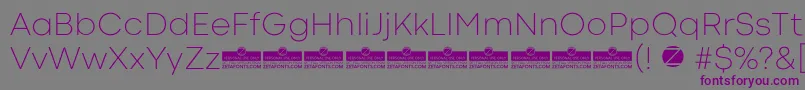 CodecColdExtralightTrial Font – Purple Fonts on Gray Background