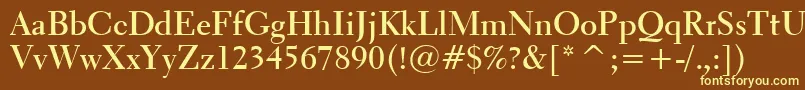 Transitional521BoldBt Font – Yellow Fonts on Brown Background