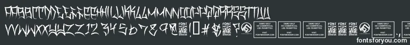 TraviscountyThin Font – White Fonts on Black Background