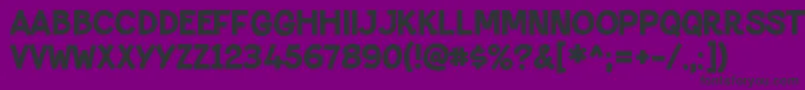 PaltimesolidRegular Font – Black Fonts on Purple Background