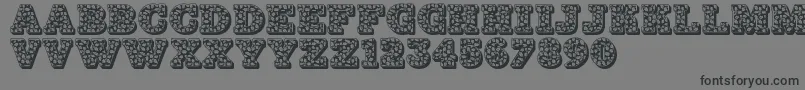 Jfhollynites Font – Black Fonts on Gray Background