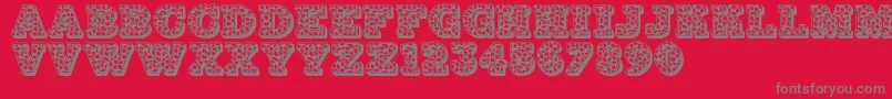 Jfhollynites Font – Gray Fonts on Red Background