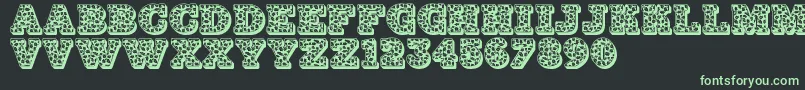 Jfhollynites Font – Green Fonts on Black Background