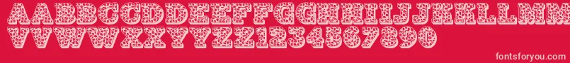 フォントJfhollynites – 赤い背景にピンクのフォント