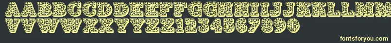 Jfhollynites Font – Yellow Fonts on Black Background
