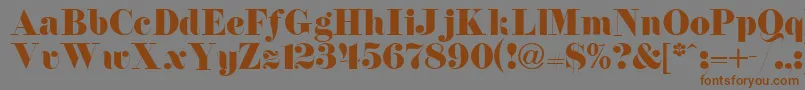 FirenzeitcNormal Font – Brown Fonts on Gray Background