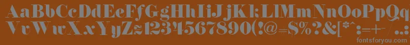 FirenzeitcNormal Font – Gray Fonts on Brown Background