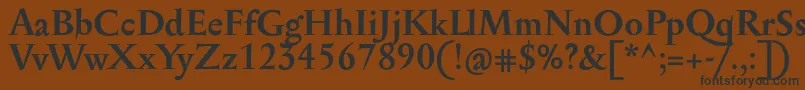 Шрифт SerapioniitxnBold – чёрные шрифты на коричневом фоне