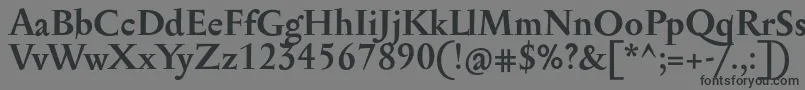 SerapioniitxnBold Font – Black Fonts on Gray Background