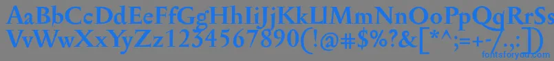 SerapioniitxnBold Font – Blue Fonts on Gray Background