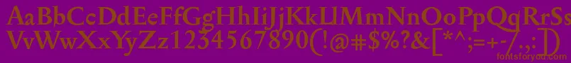 SerapioniitxnBold Font – Brown Fonts on Purple Background