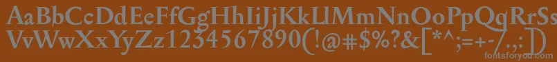 フォントSerapioniitxnBold – 茶色の背景に灰色の文字