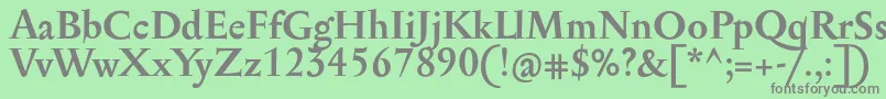 SerapioniitxnBold Font – Gray Fonts on Green Background