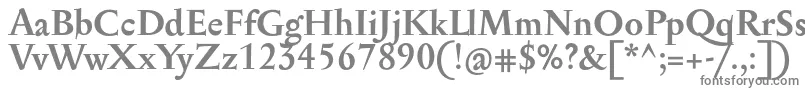 フォントSerapioniitxnBold – 白い背景に灰色の文字