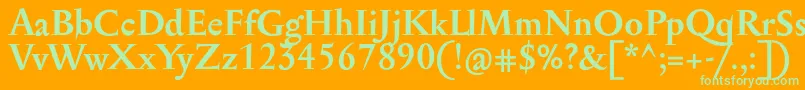 SerapioniitxnBold Font – Green Fonts on Orange Background