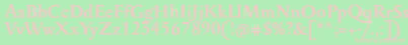SerapioniitxnBold Font – Pink Fonts on Green Background