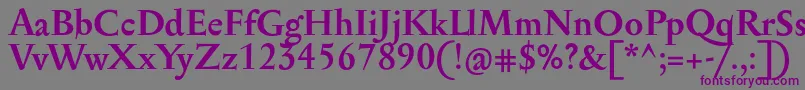 フォントSerapioniitxnBold – 紫色のフォント、灰色の背景
