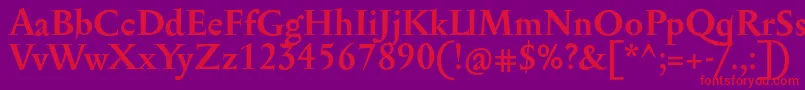 SerapioniitxnBold Font – Red Fonts on Purple Background