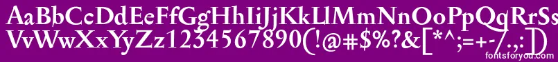 フォントSerapioniitxnBold – 紫の背景に白い文字