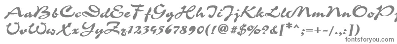 CorridaBold-Schriftart – Graue Schriften auf weißem Hintergrund