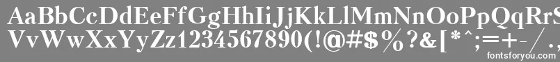 KudrashovcttBold Font – White Fonts on Gray Background