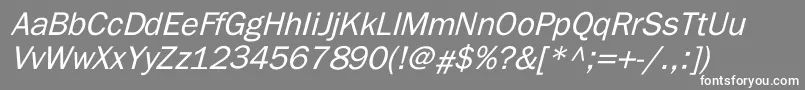 ElutheraItalic Font – White Fonts on Gray Background