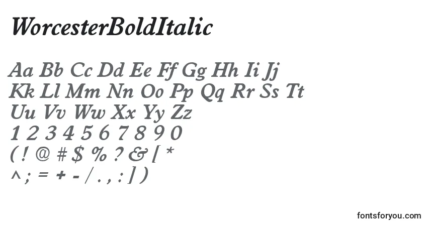 Czcionka WorcesterBoldItalic – alfabet, cyfry, specjalne znaki