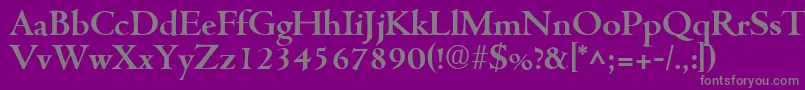 フォントCentusBold – 紫の背景に灰色の文字