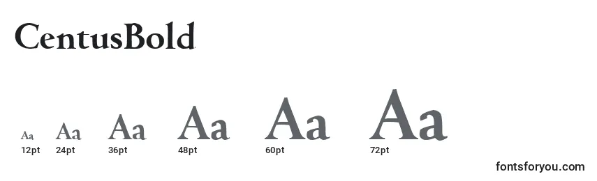 CentusBold Font Sizes
