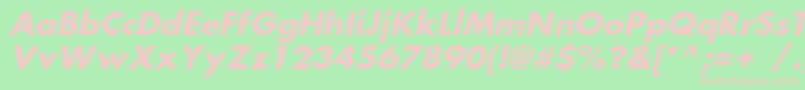 FortunecBolditalic Font – Pink Fonts on Green Background