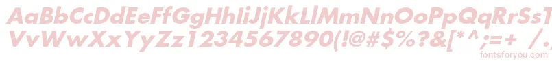 FortunecBolditalic Font – Pink Fonts on White Background