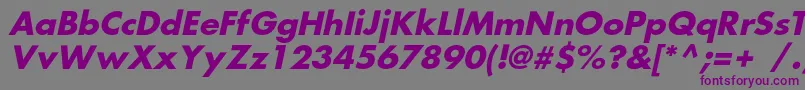 FortunecBolditalic-fontti – violetit fontit harmaalla taustalla
