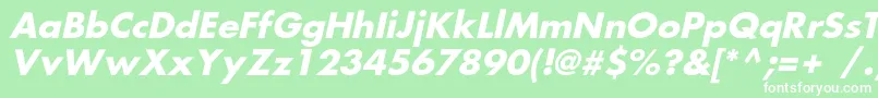 FortunecBolditalic Font – White Fonts on Green Background