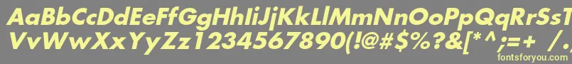 FortunecBolditalic Font – Yellow Fonts on Gray Background