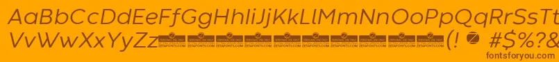 CodecWarmNewsItalicTrial Font – Brown Fonts on Orange Background