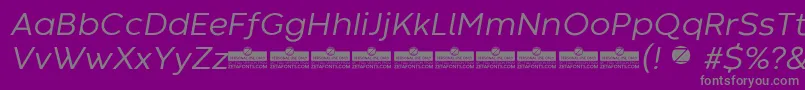 CodecWarmNewsItalicTrial-Schriftart – Graue Schriften auf violettem Hintergrund