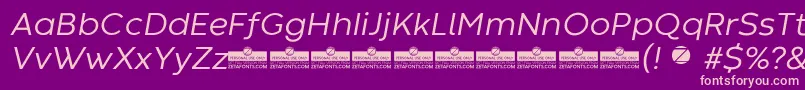 CodecWarmNewsItalicTrial Font – Pink Fonts on Purple Background