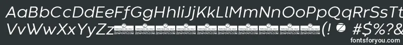 CodecWarmNewsItalicTrial Font – White Fonts on Black Background