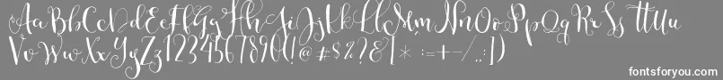 Cestlaisabellyalt Font – White Fonts on Gray Background