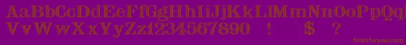 NauertWdPlain Font – Brown Fonts on Purple Background