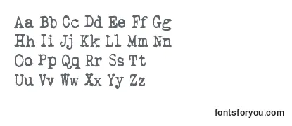 Qwertype Font