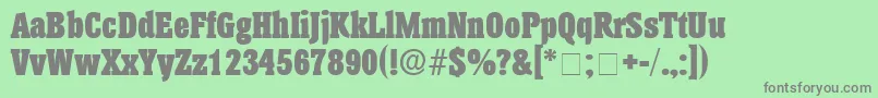 AnatoleDisplaySsi Font – Gray Fonts on Green Background