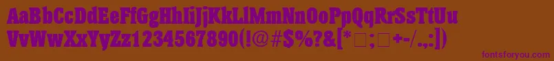 AnatoleDisplaySsi Font – Purple Fonts on Brown Background