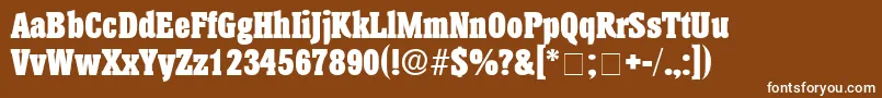 AnatoleDisplaySsi Font – White Fonts on Brown Background